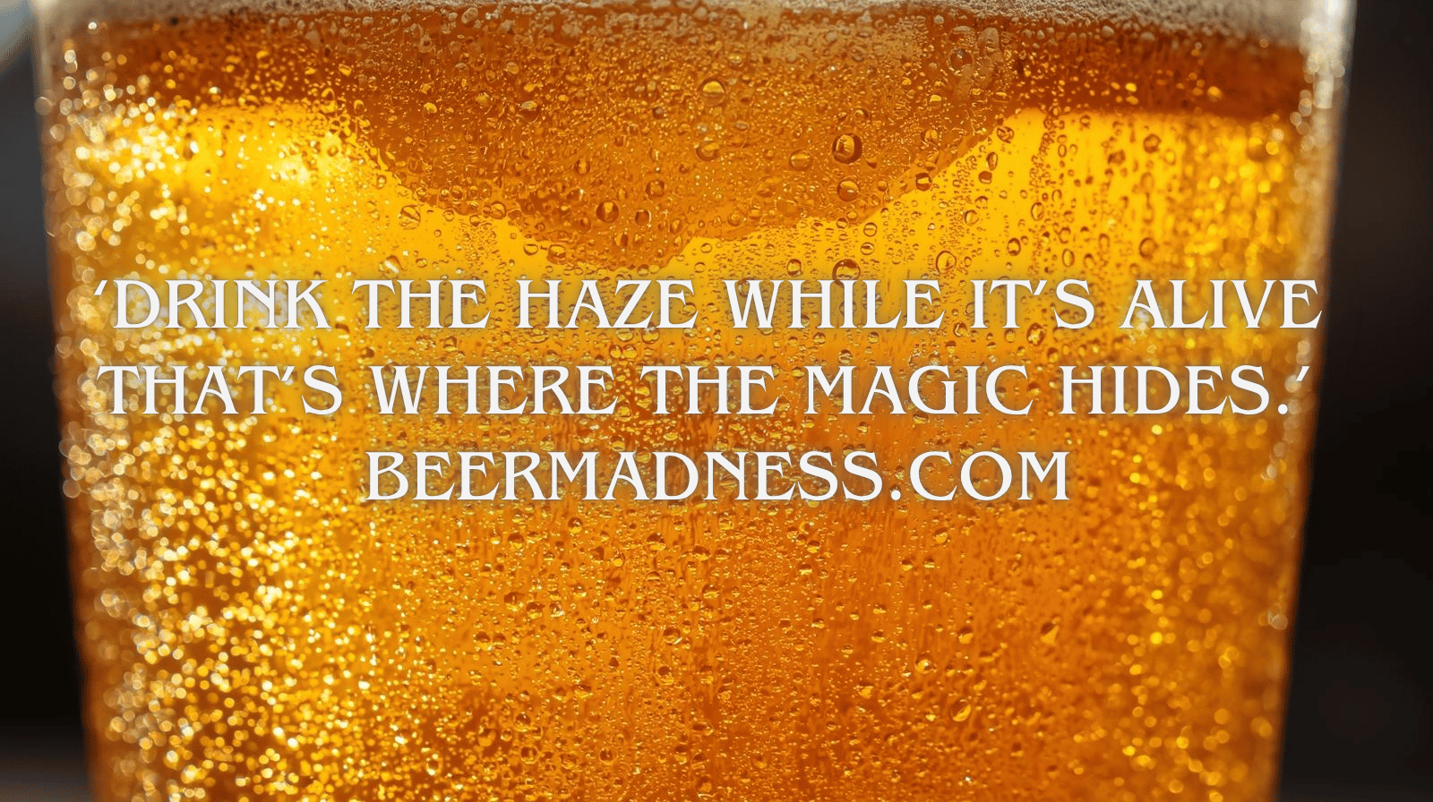 Macro shot of hazy IPA in sunlight with condensation. ‘Drink the haze while it’s alive — that’s where the magic hides.’ — BeerMadness.com”
