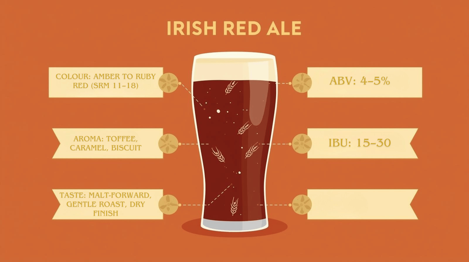 Flat-style infographic showing a pint glass of Irish Red Ale labeled with: Colour: Amber to ruby red (SRM 11–18) Aroma: Toffee, caramel, biscuit Taste: Malt-forward, gentle roast, dry finish ABV: 4–5% IBU: 15–30